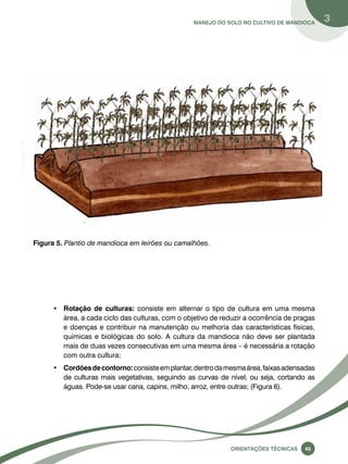 Manejo do solo no cultivo de mandioca 3 
Oreinatções Técnacis 45 
Figura 5. Plantio de mandioca em leirões ou camalhões. 
• Rotação de culturas: consiste em alternar o tipo de cultura em uma mesma 
área, a cada ciclo das culturas, com o objetivo de reduzir a ocorrência de pragas 
e doenças e contribuir na manutenção ou melhoria das características físicas, 
químicas e biológicas do solo. A cultura da mandioca não deve ser plantada 
mais de duas vezes consecutivas em uma mesma área – é necessária a rotação 
com outra cultura; 
• Cordões de contorno: consiste em plantar, dentro da mesma área, faixas adensadas 
de culturas mais vegetativas, seguindo as curvas de nível, ou seja, cortando as 
águas. Pode-se usar cana, capins, milho, arroz, entre outras; (Figura 6). 
 