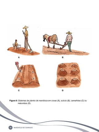 70 Mandioca no Cerrado 
B 
D 
A 
C 
Figura 9. Sistemas de plantio de mandioca em covas (a), sulcos (b), camalhões (c) ou 
matumbos (d). 
 