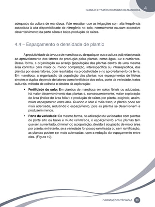 manejo e tratos culturais da mandioca 4 
adequado da cultura de mandioca. Vale ressaltar, que as irrigações com alta frequência 
associada à alta disponibilidade de nitrogênio no solo, normalmente causam excessivo 
desenvolvimento da parte aérea e baixa produção de raízes. 
4.4 – Espaçamento e densidade de plantio 
A produtividade da lavoura de mandioca ou de qualquer outra cultura está relacionada 
ao aproveitamento dos fatores de produção pelas plantas, como água, luz e nutrientes. 
Dessa forma, a organização ou arranjo (população) das plantas dentro de uma mesma 
área contribui para maior ou menor competição, interespecífica ou intraespecífica, das 
plantas por esses fatores, com resultados na produtividade e no aproveitamento da terra. 
Em mandioca, a organização da população das plantas nos espaçamentos de fileiras 
simples e duplas depende de fatores como fertilidade dos solos, porte da variedade, tratos 
culturais, método de colheita e destino da exploração: 
• Fertilidade do solo: Em plantios de mandioca em solos férteis ou adubados, 
há maior desenvolvimento das plantas e, consequentemente, maior exploração 
de área (índice de área foliar) e produção de raízes por planta, exigindo, assim, 
maior espaçamento entre elas. Quando o solo é mais fraco, o plantio pode ser 
mais adensado, reduzindo o espaçamento, pois as plantas se desenvolvem e 
produzem menos. 
• Porte da variedade: Da mesma forma, na utilização de variedades com plantas 
de porte alto ou baixo e muito ramificada, o espaçamento entre plantas tem 
que ser aumentado, diminuindo a população, devido à ocupação de maior área 
por planta; entretanto, se a variedade for pouco ramificada ou sem ramificação, 
as plantas podem ser mais adensadas, com a redução do espaçamento entre 
elas. (Figura 10). 
Oreinatções Técnacis 73 
 