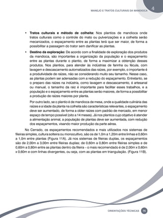 manejo e tratos culturais da mandioca 4 
• Tratos culturais e método de colheita: Nos plantios de mandioca onde 
tratos culturais como o controle do mato ou pulverizações e a colheita serão 
mecanizados, o espaçamento entre as plantas terá que ser maior, de forma a 
possibilitar a passagem do trator sem danificar as plantas. 
• Destino da exploração: De acordo com a finalidade de exploração dos produtos 
da mandioca, são importantes a organização da população e o espaçamento 
entre as plantas durante o plantio, de forma a maximizar a obtenção desses 
produtos. Nos plantios, para atender às indústrias de farinha ou fécula, com 
lavagem e descascamento automatizados das raízes, por exemplo, o importante é 
a produtividade de raízes, não se considerando muito seu tamanho. Nesse caso, 
as plantas podem ser adensadas com a redução do espaçamento. Entretanto, se 
o preparo das raízes na indústria, como lavagem e descascamento, é artesanal 
ou manual, o tamanho da raiz é importante para facilitar esses trabalhos, e a 
população e o espaçamento entre as plantas serão maiores, de forma a possibilitar 
a produção de raízes maiores por planta. 
Por outro lado, se o plantio é de mandioca de mesa, onde a qualidade culinária das 
raízes e a idade da planta na colheita são características relevantes, o espaçamento 
deve ser aumentado, de forma a obter raízes com padrão de mercado, em menor 
espaço de tempo possível (oito a 14 meses). Já nos plantios cujo objetivo é atender 
a alimentação animal, a população de plantas deve ser aumentada, com redução 
dos espaçamentos, visando maior produção da parte aérea. 
No Cerrado, os espaçamentos recomendados e mais utilizados nos sistemas de 
fileiras simples, cultura solteira ou monocultivo, são os de 1,0m a 1,20m entre linhas e 0,60m 
a 1,0m entre plantas (Figura 11a). Já nos sistemas de fileiras duplas, os espaçamentos 
são de 2,00m a 3,00m entre fileiras duplas; de 0,60m a 0,80m entre fileiras simples e de 
0,60m a 0,80m entre as plantas dentro da fileira – o mais recomendado é de 2,00m x 0,60m 
x 0,60m e com linhas divergentes, ou seja, com as plantas em triangulação. (Figura 11b). 
Oreinatções Técnacis 75 
 