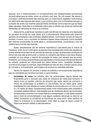 repouso, com o direcionamento e o armazenamento dos fotoassimilados provenientes 
da parte aérea para as raízes, como no primeiro ciclo (aos 18 a 24 meses). Na rebrota é 
priorizado o redirecionamento das reservas para um crescimento vegetativo mais intenso, 
em detrimento das reservas das raízes, o que contribui para uma momentânea redução no 
conteúdo de amido nas mesmas (popularmente conhecida como a fase em que as raízes 
estão aguadas). Essa fase é considerada crítica para a colheita das raízes da maioria das 
variedades de mandioca de mesa e de indústria. 
Dessa forma, a planta de mandioca a partir dos 90 dias de idade faz uma deposição 
de camadas de amido em suas raízes, que é extremamente influenciada pelo potencial 
genético da variedade e das condições edafoclimáticas. Culminando na fase de repouso, 
durante o inverno, com o aumento do diâmetro dessas raízes tuberosas, como resultado 
das reservas provenientes da parte aérea e, consequentemente, aumentando o teor de 
matéria seca e amido das mesmas. 
Essas características são de extrema importância e peculiares para a cultura da 
mandioca, onde, de um modo geral, as épocas mais indicadas para colher são aquelas em 
que as plantas encontram-se em período de repouso, ou seja, quando pelas condições de 
clima e do ciclo elas já diminuíram o número e o tamanho das folhas e dos lobos foliares, 
condição em que atinge o máximo de produção de raízes com elevado teor de amido. 
Entretanto, com essas características e peculiaridades a mandioca permite épocas flexíveis 
de colheita, podendo ser influenciada por vários fatores como: condições climáticas, 
ocorrência de pragas ou doenças, disponibilidade de mão-de-obra, manejo cultural, preço 
de mercado e, principalmente, pelo objetivo do produto ou variedade plantada. 
Dentro do objetivo do produto a época de colheita é de fundamental importância 
para as variedades de mandioca de mesa ou para indústria. 
• Variedades de mesa: Na colheita, além da produtividade, alguns fatores são 
importantes para o mercado das raízes de mandioca de mesa para consumo in 
natura como um padrão uniforme de tamanho das raízes, tempo de cozimento e 
tempo de conservação na prateleira ou pós-colheita. De um modo geral, essas 
qualidades tem sido obtidas em raízes colhidas de mandiocais com um ciclo ou com 
8 a 14 meses de idade. Características essas muito influenciadas pela variedade e 
condições edafoclimáticas. Vale ressaltar que as mandiocas devem ser arrancadas, 
armazenadas à sombra e em locais frescos e transportadas o mais rápido possível 
para o local de comercialização; e que alguns cuidados adicionais se deve ter ao 
colher, transportar ou armazenar as mandiocas de mesa como: evitar danificar as 
raízes no arranquio ou na depinicagem, evitar bater ou jogar as raízes e evitar as 
raízes que tenham soltado a película externa. 
86 Mandioca no Cerrado 
 