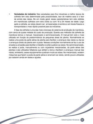 manejo e tratos culturais da mandioca 4 
• Variedades de indústria: Nas variedades para fins industriais a melhor época de 
colheita tem sido determinada pela produtividade, teor de matéria seca e o teor 
de amido das raízes. De um modo geral, essas características tem sido obtidas 
em mandiocais colhidos com dois ciclos ou com 18 a 24 meses de idade. Logo 
após a colheita, as raízes devem ser armazenadas à sombra e em locais frescos e 
transportadas o mais rápido possível para as indústrias. 
A fase de colheita é uma das mais onerosas do sistema de produção de mandioca, 
com cerca de quase metade do custo de produção. Quanto aos métodos de colheita da 
mandioca temos o manual, mecanizado e semimecanizado. O manual tem sido o mais 
utilizado em função da predominância de pequenas áreas de plantio. Normalmente se 
realiza uma poda da parte aérea da planta para facilitar o arranquio das raízes ou faz-se 
o arranquio direto da planta sem a poda. Nessas condições normalmente se faz o uso de 
enxada ou enxadão para facilitar o trabalho e evitar quebrar as raízes. No semimecanizado, 
se realiza a poda, manualmente ou com roçadeiras mecanizadas, da parte aérea das 
plantas e são utilizados fofadores que afofam a terra e facilitam o arranquio manual das 
raízes, entretanto, esses equipamentos quebram muito as raízes. No mecanizado, existem 
máquinas que fazem a poda da parte aérea e arrancam as raízes, sendo pouco utilizadas 
por estarem ainda em testes e ajustes. 
Oreinatções Técnacis 87 
 