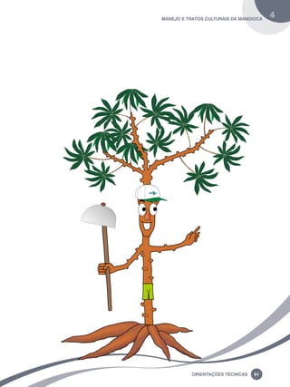 manejo e tratos culturais da mandioca 4 
Oreinatções Técnacis 91 
 