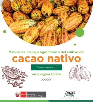 Manual de manejo agronómico del cultivo de
cacao nativo
(Theobroma cacao L.)
en la región Loreto
Ministerio
de Agricultura y Riego
 