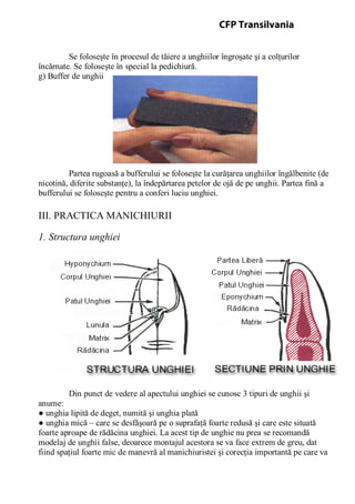 Se foloseşte în procesul de tăiere a unghiilor îngroşate şi a colţurilor
încărnate. Se foloseşte în special la pedichiură.
g) Buffer de unghii
Partea rugoasă a bufferului se foloseşte la curăţarea unghiilor îngălbenite (de
nicotină, diferite substanţe), la îndepărtarea petelor de ojă de pe unghii. Partea fină a
bufferului se foloseşte pentru a conferi luciu unghiei.
III. PRACTICA MANICHIURII
1. Structura unghiei
Din punct de vedere al apectului unghiei se cunosc 3 tipuri de unghii şi
anume:
● unghia lipită de deget, numită şi unghia plată
● unghia mică – care se desfăşoară pe o suprafaţă foarte redusă şi care este situată
foarte aproape de rădăcina unghiei. La acest tip de unghie nu prea se recomandă
modelaj de unghii false, deoarece montajul acestora se va face extrem de greu, dat
fiind spaţiul foarte mic de manevră al manichiuristei şi corecţia importantă pe care va
CFP Transilvania
 