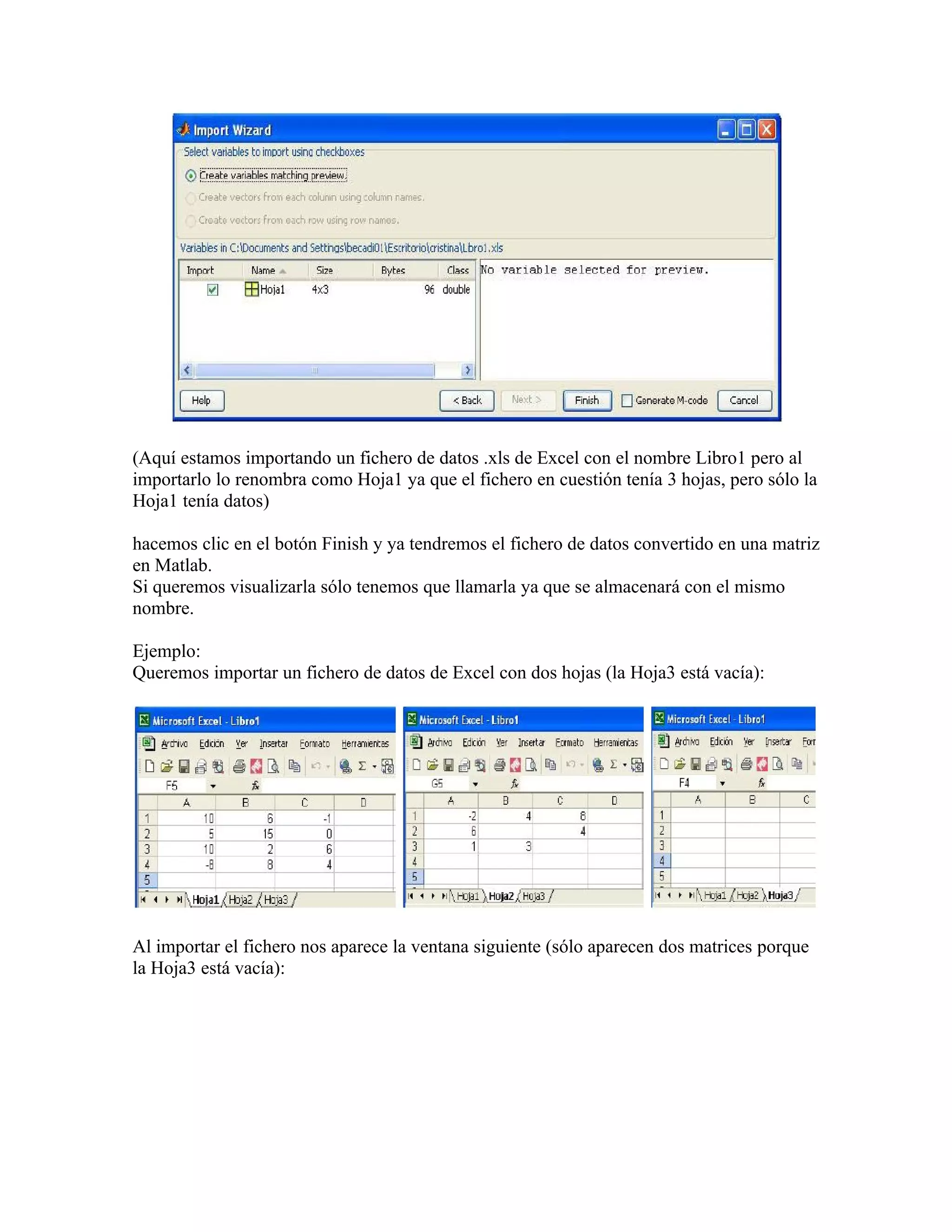 (Aquí estamos importando un fichero de datos .xls de Excel con el nombre Libro1 pero al
importarlo lo renombra como Hoja1 ya que el fichero en cuestión tenía 3 hojas, pero sólo la
Hoja1 tenía datos)

hacemos clic en el botón Finish y ya tendremos el fichero de datos convertido en una matriz
en Matlab.
Si queremos visualizarla sólo tenemos que llamarla ya que se almacenará con el mismo
nombre.

Ejemplo:
Queremos importar un fichero de datos de Excel con dos hojas (la Hoja3 está vacía):




Al importar el fichero nos aparece la ventana siguiente (sólo aparecen dos matrices porque
la Hoja3 está vacía):
 