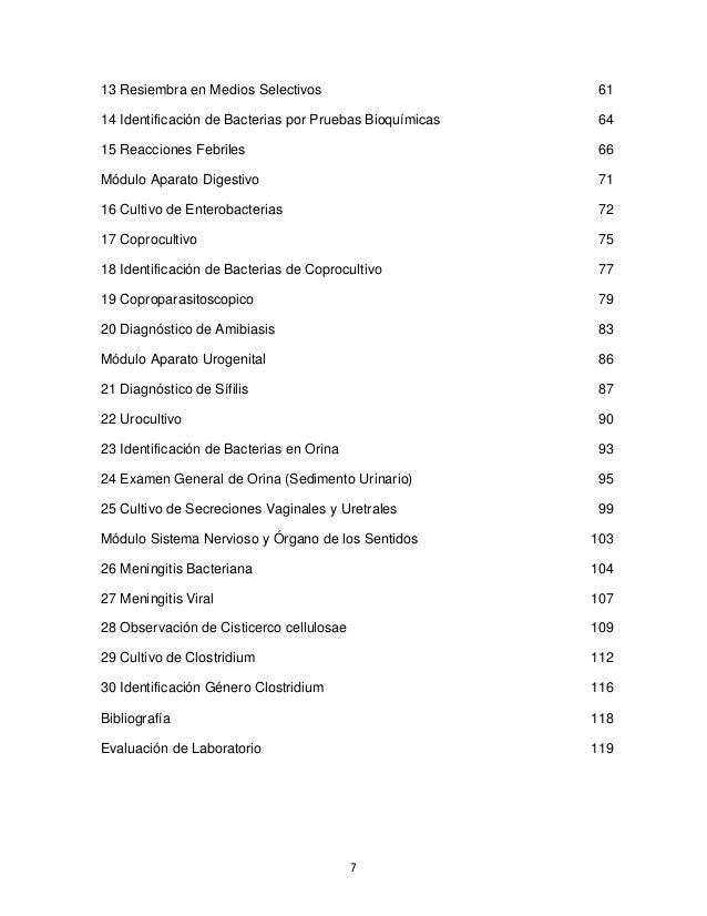 Manual de microbiologia essay 07 image
