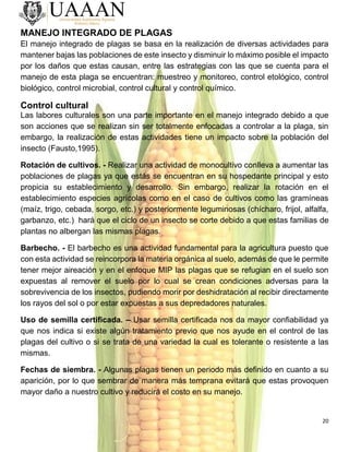 20
MANEJO INTEGRADO DE PLAGAS
El manejo integrado de plagas se basa en la realización de diversas actividades para
mantener bajas las poblaciones de este insecto y disminuir lo máximo posible el impacto
por los daños que estas causan, entre las estrategias con las que se cuenta para el
manejo de esta plaga se encuentran: muestreo y monitoreo, control etológico, control
biológico, control microbial, control cultural y control químico.
Control cultural
Las labores culturales son una parte importante en el manejo integrado debido a que
son acciones que se realizan sin ser totalmente enfocadas a controlar a la plaga, sin
embargo, la realización de estas actividades tiene un impacto sobre la población del
insecto (Fausto,1995).
Rotación de cultivos. - Realizar una actividad de monocultivo conlleva a aumentar las
poblaciones de plagas ya que estás se encuentran en su hospedante principal y esto
propicia su establecimiento y desarrollo. Sin embargo, realizar la rotación en el
establecimiento especies agrícolas como en el caso de cultivos como las gramíneas
(maíz, trigo, cebada, sorgo, etc.) y posteriormente leguminosas (chícharo, frijol, alfalfa,
garbanzo, etc.) hará que el ciclo de un insecto se corte debido a que estas familias de
plantas no albergan las mismas plagas.
Barbecho. - El barbecho es una actividad fundamental para la agricultura puesto que
con esta actividad se reincorpora la materia orgánica al suelo, además de que le permite
tener mejor aireación y en el enfoque MIP las plagas que se refugian en el suelo son
expuestas al remover el suelo por lo cual se crean condiciones adversas para la
sobrevivencia de los insectos, pudiendo morir por deshidratación al recibir directamente
los rayos del sol o por estar expuestas a sus depredadores naturales.
Uso de semilla certificada. – Usar semilla certificada nos da mayor confiabilidad ya
que nos indica si existe algún tratamiento previo que nos ayude en el control de las
plagas del cultivo o si se trata de una variedad la cual es tolerante o resistente a las
mismas.
Fechas de siembra. - Algunas plagas tienen un periodo más definido en cuanto a su
aparición, por lo que sembrar de manera más temprana evitará que estas provoquen
mayor daño a nuestro cultivo y reducirá el costo en su manejo.
 