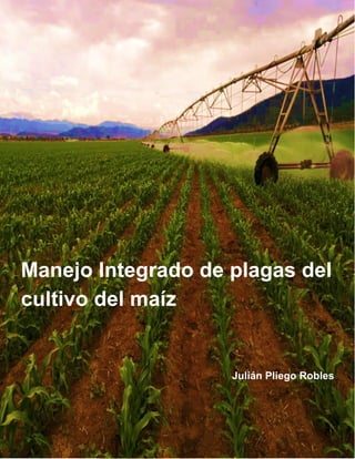 1
Manejo Integrado de plagas del
cultivo del maíz
Julián Pliego Robles
 