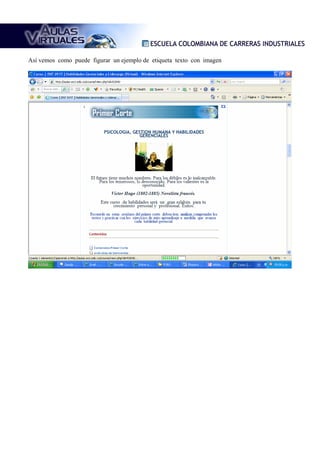 Así vemos como puede figurar un ejemplo de etiqueta texto con imagen
 