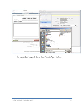 AUTOR: JHOVANNY LUIS BERAÚN RAMOS 74
Una vez subida la imagen de damos clic en “insertar” para finalizar.
 