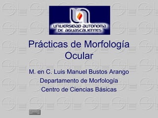 Prácticas de Morfología
        Ocular
M. en C. Luis Manuel Bustos Arango
    Departamento de Morfología
    Centro de Ciencias Básicas
 