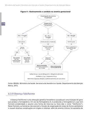 174
Ministério da Saúde | Secretaria de Atenção à Saúde | Departamento de Atenção Básica
Figura 9 – Rastreamento e conduta na anemia gestacional
Anemia de leve a moderada
Investigação da anemia
na gestação
Dosagem de Hb:
primeira consulta e
com 28 semanas
Hb > 11mg/dl Hb > 8 e <
11mg/dl
Hb < 8mg/dl
Fatores
de risco?
Refira a gestante ao
pré-natal de alto
risco
Sem anemia Anemia grave
Administre 5cp/dia de
sulfato ferroso
(200mg)
SimNão
Sem anemia:
não faça
suplementação
de Fe (ferro)
Sem anemia:
1cp/dia até o
final da
gestação
Repita Hb
em 60 dias
Níveis aumentados:
mantenha tratamento
por 3 meses
Níveis estacionários
ou em queda de Hb
Sulfato ferroso: 1cp de 200mg de Fe = 40mg de Fe elementar
Pr co 1-2 cp – tratamento 4-6 cp
Administre longe das refeições e preferencialmente com suco cítrico
Fonte: BRASIL. Ministério da Saúde. Secretaria de Assistência à Saúde. Departamento de Atenção
Básica, 2012.
6.3.9 Doença falciforme
A doença falciforme é uma alteração genética hereditária causada por uma mutação do gene
que produz a hemoglobina. Em vez da hemoglobina A, é produzida a hemoglobina S, que tem
formato arredondado e assume uma forma de meia-lua ou foice (daí o nome “falciforme”).
Nesse formato, as hemácias não exercem a função de oxigenação do corpo de forma satisfatória
e causam diversas complicações em órgãos e sistemas: além da anemia crônica, há episódios de
 
