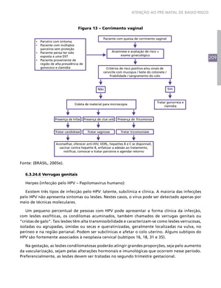 209
ATENÇÃO AO PRÉ-NATAL DE BAIXO RISCO
Figura 13 – Corrimento vaginal
Paciente com queixa de corrimento vaginal
Anamnese e avaliação de risco +
exame ginecológico
Critérios de risco positivo e/ou sinais de
cervicite com mucopus / teste do cotonete /
friabilidade / sangramento do colo
Tratar gonorreia e
clamídia
SimNão
Coleta de material para microscopia
Presença de hifas Presença de clue cels Presença de Tricomonas
Tratar candidíase Tratar vaginose Tratar tricomoníase
Aconselhar, oferecer anti-HIV, VDRL, hepatites B e C se disponível,
vacinar contra hepatite B, enfatizar a adesão ao tratamento,
notificar, convocar e tratar parceiros e agendar retorno
Ÿ Parceiro com sintoma
Ÿ Paciente com múltiplos
parceiros sem proteção
Ÿ Paciente pensa ter sido
exposta a uma DST
Ÿ Paciente proveniente de
região de alta prevalência de
gonococo e clamídia
Fonte: (BRASIL, 2005e).
6.3.24.6 Verrugas genitais
Herpes (infecção pelo HPV – Papilomavírus humano):
Existem três tipos de infecção pelo HPV: latente, subclínica e clínica. A maioria das infecções
pelo HPV não apresenta sintomas ou lesões. Nestes casos, o vírus pode ser detectado apenas por
meio de técnicas moleculares.
Um pequeno percentual de pessoas com HPV pode apresentar a forma clínica da infecção,
com lesões exofíticas, os condilomas acuminados, também chamados de verrugas genitais ou
“cristas de galo”. Tais lesões têm alta transmissibilidade e caracterizam-se como lesões verrucosas,
isoladas ou agrupadas, úmidas ou secas e queratinizadas, geralmente localizadas na vulva, no
períneo e na região perianal. Podem ser subclínicas e afetar o colo uterino. Alguns subtipos do
HPV são fortemente associados à neoplasia cervical (subtipos 16, 18, 31 e 35).
Na gestação, as lesões condilomatosas poderão atingir grandes proporções, seja pelo aumento
da vascularização, sejam pelas alterações hormonais e imunológicas que ocorrem nesse período.
Preferencialmente, as lesões devem ser tratadas no segundo trimestre gestacional.
 