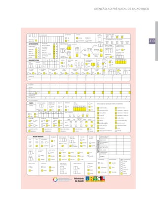 313
ATENÇÃO AO PRÉ-NATAL DE BAIXO RISCO
 