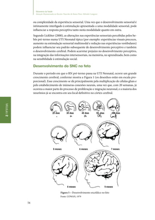 54
Módulo2
Ministério da Saúde
Atenção Humanizada ao Recém-Nascido de Baixo Peso: Método Canguru
ou complexidade da experiência sensorial. Uma vez que o desenvolvimento sensorial é
intimamente interligado à estimulação apresentada a uma modalidade sensorial, pode
influenciar a resposta perceptiva tanto nesta modalidade quanto em outra.
Segundo Lickliter (2000), as alterações nas experiências sensoriais percebidas pelos be‑
bês pré‑termo numa UTI Neonatal típica (por exemplo: experiências visuais precoces,
aumento na estimulação sensorial multimodal e redução nas experiências vestibulares)
podem influenciar seu padrão subsequente de desenvolvimento perceptivo e também
o desenvolvimento cerebral. Podem acarretar prejuízo no desenvolvimento perceptivo,
na integração das informações intersensoriais, na memória, no aprendizado, bem como
na sensibilidade à estimulação social.
Desenvolvimento do SNC no feto
Durante o período em que o RN pré‑termo passa na UTI Neonatal, ocorre um grande
crescimento cerebral, conforme mostra a Figura 1 (os desenhos estão em escala pro‑
porcional). Esse crescimento se dá principalmente pela multiplicação de células gliais e
pelo estabelecimento de inúmeras conexões neurais, uma vez que, com 20 semanas, já
ocorreu a maior parte do processo de proliferação e migração neuronal, e a maioria dos
neurônios já se encontra em seu local definitivo no córtex cerebral.
Figura 5 – Desenvolvimento encefálico no feto
Fonte: COWAN, 1979
 