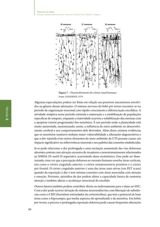 66
Módulo2
Ministério da Saúde
Atenção Humanizada ao Recém-Nascido de Baixo Peso: Método Canguru
Figura 7 – Desenvolvimento do córtex visual humano
Fonte: FANAROFF, 1979.
Algumas especulações podem ser feitas em relação aos possíveis mecanismos envolvi‑
dos na gênese dessas alterações. O sistema nervoso do bebê pré‑termo encontra‑se no
período de organização neuronal com rápido crescimento e diferenciação encefálica. A
atividade sináptica nesse período estimula a maturação e a estabilização de populações
específicas de sinapses, enquanto a inatividade acarreta a solubilização das mesmas com
a apoptose (morte programada) dos neurônios. É um período onde a plasticidade está
muito aumentada, maximizando, assim, a influência do meio ambiente no desenvolvi‑
mento cerebral e nos comportamentos dele derivados. Além disso, existem evidências
que os neurônios imaturos tenham maior vulnerabilidade a alterações degenerativas e
que a dor repetida e/ou outros elementos do meio ambiente da UTI possam causar um
impacto significativo na sobrevivência neuronal e nos padrões das conexões estabelecidas.
Já se pode relacionar a dor prolongada a uma excitação aumentada das vias dolorosas
aferentes centrais com ativação excessiva de receptores e neurotransmissores relacionados
ao NMDA (N‑metil‑D‑aspartato), acarretando dano excitotóxico. Esse pode ser disse‑
minado, uma vez que a percepção dolorosa no neonato humano envolve áreas corticais,
tais como o córtex cingulado anterior, o córtex somatosensório primário e o córtex
pré‑frontal. O córtex cingulado anterior é uma das áreas mais ativas (em PET scans)
quando da exposição à dor e tem íntimas conexões com áreas associadas com atenção
e emoção. Portanto, episódios de dor podem afetar a capacidade futura de sustentar
atenção e também alterar o arcabouço emocional do encéfalo.
Outros fatores também podem contribuir direta ou indiretamente para o dano ao SNC.
Com a dor pode ocorrer ativação do sistema neuroendócrino com liberação de substân‑
cias como o CRH (hormônio estimulador da corticotrofina), que tem o potencial de lesar
áreas como o hipocampo, que media aspectos do aprendizado e da memória. Em bebês
pré‑termo, a precoce e prolongada exposição dolorosa pode causar frequentes alterações
 