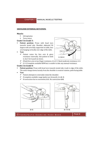 Manual Muscle Testing Worksheet Manual muscle testing | PDF