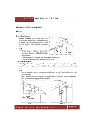 Manual Muscle Testing Worksheet Manual muscle testing | PDF
