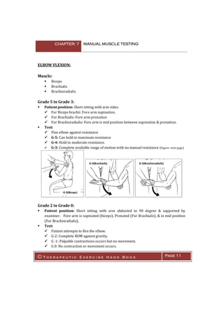Manual muscle testing | PDF
