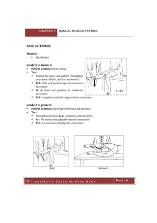 Manual muscle testing | PDF
