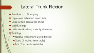 Manual Muscle Testing For Trunk, Neck & Face | PPTX