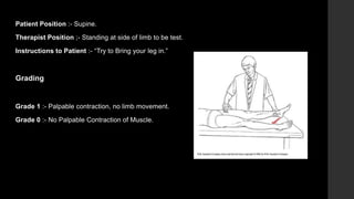 MANUAL MUSCLE TESTING (MMT).pptx