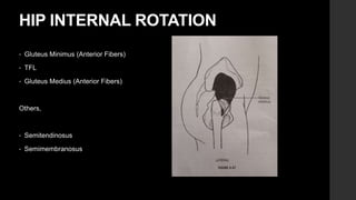 MANUAL MUSCLE TESTING (MMT).pptx