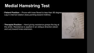 Mmt Testing Hamstring MANUAL MUSCLE TESTING (MMT).pptx