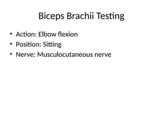 Comprehensive Manual Muscle Testing Techniques for Clinical Assessment ...