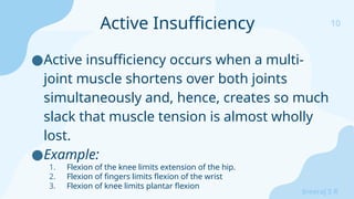 10
Sreeraj S R
●Active insufficiency occurs when a multi-
joint muscle shortens over both joints
simultaneously and, hence, creates so much
slack that muscle tension is almost wholly
lost.
●Example:
1. Flexion of the knee limits extension of the hip.
2. Flexion of fingers limits flexion of the wrist
3. Flexion of knee limits plantar flexion
Active Insufficiency
 