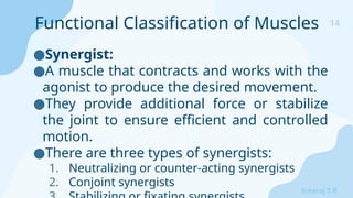 14
Sreeraj S R
●Synergist:
●A muscle that contracts and works with the
agonist to produce the desired movement.
●They provide additional force or stabilize
the joint to ensure efficient and controlled
motion.
●There are three types of synergists:
1. Neutralizing or counter-acting synergists
2. Conjoint synergists
Functional Classification of Muscles
 