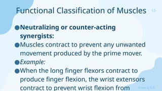 15
Sreeraj S R
●Neutralizing or counter-acting
synergists:
●Muscles contract to prevent any unwanted
movement produced by the prime mover.
●Example:
●When the long finger flexors contract to
produce finger flexion, the wrist extensors
contract to prevent wrist flexion from
Functional Classification of Muscles
 