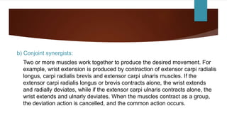 b) Conjoint synergists:
Two or more muscles work together to produce the desired movement. For
example, wrist extension is produced by contraction of extensor carpi radialis
longus, carpi radialis brevis and extensor carpi ulnaris muscles. If the
extensor carpi radialis longus or brevis contracts alone, the wrist extends
and radially deviates, while if the extensor carpi ulnaris contracts alone, the
wrist extends and ulnarly deviates. When the muscles contract as a group,
the deviation action is cancelled, and the common action occurs.
 