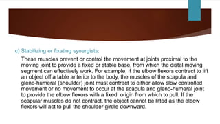 c) Stabilizing or fixating synergists:
These muscles prevent or control the movement at joints proximal to the
moving joint to provide a fixed or stable base, from which the distal moving
segment can effectively work. For example, if the elbow flexors contract to lift
an object off a table anterior to the body, the muscles of the scapula and
gleno-humeral (shoulder) joint must contract to either allow slow controlled
movement or no movement to occur at the scapula and gleno-humeral joint
to provide the elbow flexors with a fixed origin from which to pull. If the
scapular muscles do not contract, the object cannot be lifted as the elbow
flexors will act to pull the shoulder girdle downward.
 