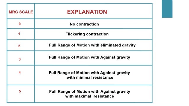 manual muscle test mmt mmt chart