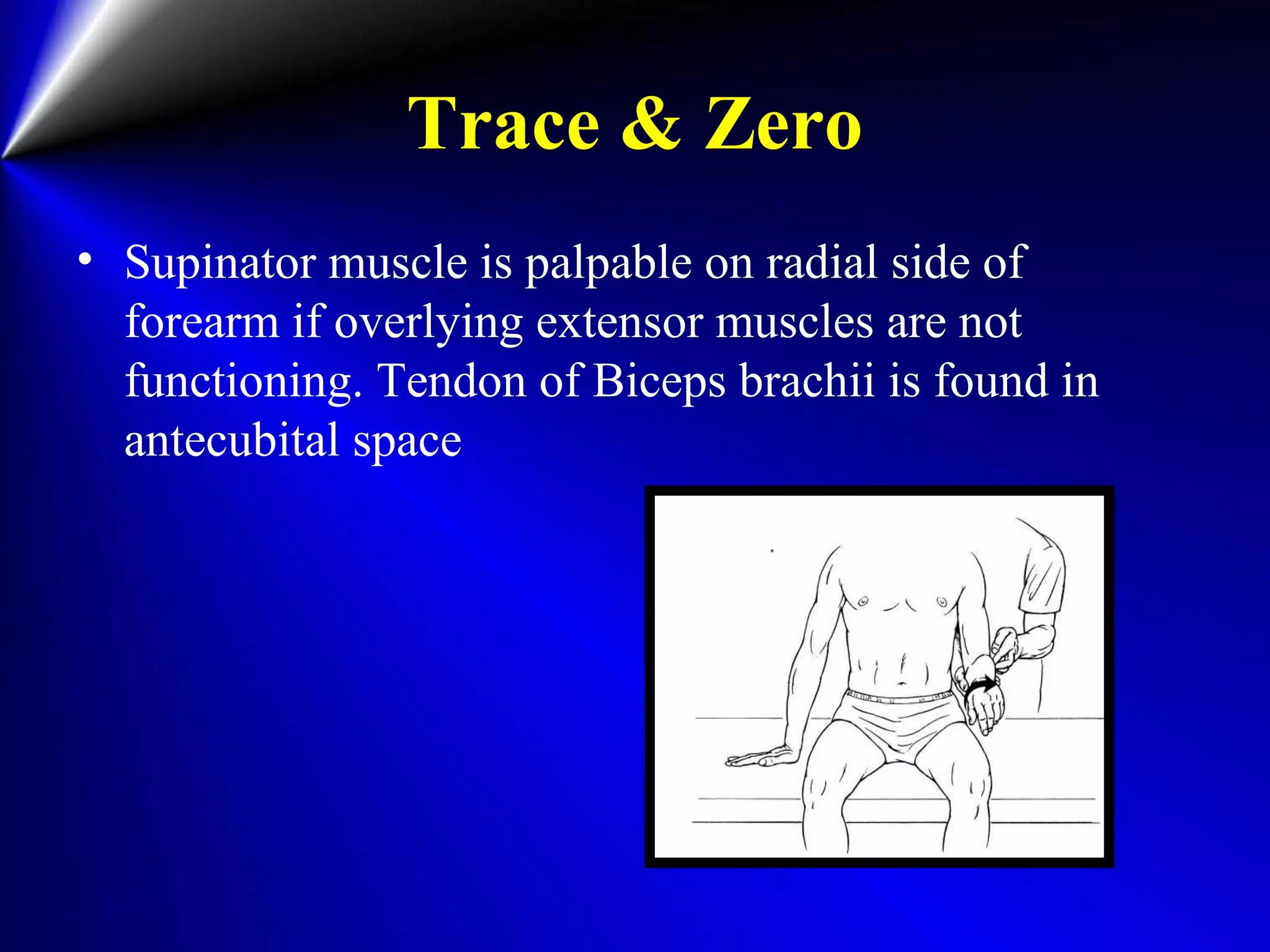 Trace & Zero
• Supinator muscle is palpable on radial side of
forearm if overlying extensor muscles are not
functioning. Tendon of Biceps brachii is found in
antecubital space
 
