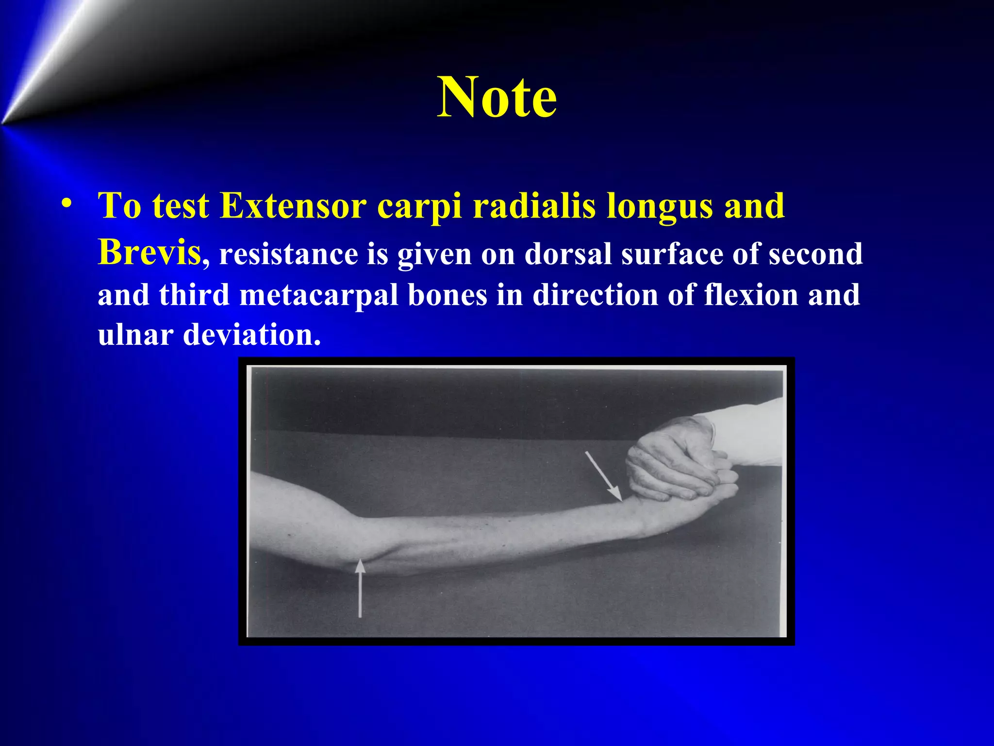 Note
• To test Extensor carpi radialis longus and
Brevis, resistance is given on dorsal surface of second
and third metacarpal bones in direction of flexion and
ulnar deviation.
 