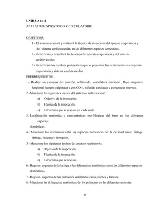 UNIDAD VIII
APARATO RESPIRATORIO Y CIRCULATORIO


OBJETIVOS:
    1.- El alumno revisará y realizará la técnica de inspección del aparato respiratorio y
        del sistema cardiovascular, en las diferentes especies domésticas.
    2.- Identificará y describirá las lesiones del aparato respiratorio y del sistema
       cardiovascular.
    3.- Identificará los cambios postmortem que se presentan frecuentemente en el aparato
       respiratorio y sistema cardiovascular.
PRERREQUISITOS:
1.- Realice un esquema del corazón, señalando: vasculatura funcional, flujo sanguíneo
    funcional (sangre oxigenada y con CO2), válvulas cardíacas y estructuras internas.
2.- Mencione los siguientes incisos del sistema cardiovascular:
         a)   Objetivo de la inspección.
         b) Técnica de la inspección.
         e)   Estructuras que se revisan en cada corte.
3.- Localización anatómica y características morfológicas del bazo en las diferentes
         especies
   domésticas.
4.- Mencione las diferencias entre las especies domésticas de: la cavidad nasal, faringe,
    laringe, tráquea y bronquios.
5.- Mencione los siguientes incisos del aparato respiratorio:
         a)   Objetivo de la inspección.
         b) Técnica de la inspección.
         c)   Estructuras que se revisan.
6.- Haga un esquema de la laringe y las diferencias anatómicas entre las diferentes especies
   domésticas.
7.- Haga un esquema de los pulmones señalando: caras, bordes y lóbulos.
8.- Mencione las diferencias anatómicas de los pulmones en las diferentes especies.


                                              23
 