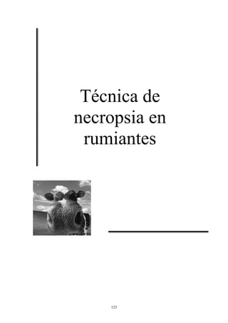 Técnica de
necropsia en
 rumiantes




    123
 