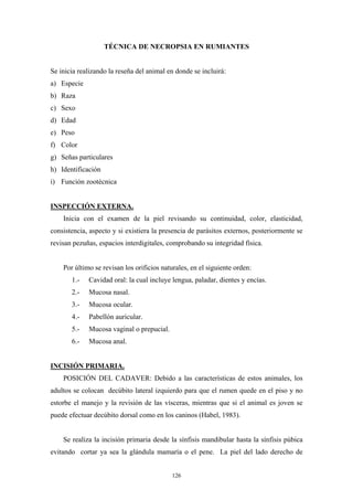 TÉCNICA DE NECROPSIA EN RUMIANTES


Se inicia realizando la reseña del animal en donde se incluirá:
a) Especie
b) Raza
c) Sexo
d) Edad
e) Peso
f) Color
g) Señas particulares
h) Identificación
i) Función zootécnica


INSPECCIÓN EXTERNA.
    Inicia con el examen de la piel revisando su continuidad, color, elasticidad,
consistencia, aspecto y si existiera la presencia de parásitos externos, posteriormente se
revisan pezuñas, espacios interdigitales, comprobando su integridad física.


    Por último se revisan los orificios naturales, en el siguiente orden:
       1.-   Cavidad oral: la cual incluye lengua, paladar, dientes y encías.
       2.-   Mucosa nasal.
       3.-   Mucosa ocular.
       4.-   Pabellón auricular.
       5.-   Mucosa vaginal o prepucial.
       6.-   Mucosa anal.


INCISIÓN PRIMARIA.
    POSICIÓN DEL CADAVER: Debido a las características de estos animales, los
adultos se colocan decúbito lateral izquierdo para que el rumen quede en el piso y no
estorbe el manejo y la revisión de las vísceras, mientras que si el animal es joven se
puede efectuar decúbito dorsal como en los caninos (Habel, 1983).


    Se realiza la incisión primaria desde la sínfisis mandibular hasta la sínfisis púbica
evitando cortar ya sea la glándula mamaría o el pene. La piel del lado derecho de


                                           126
 