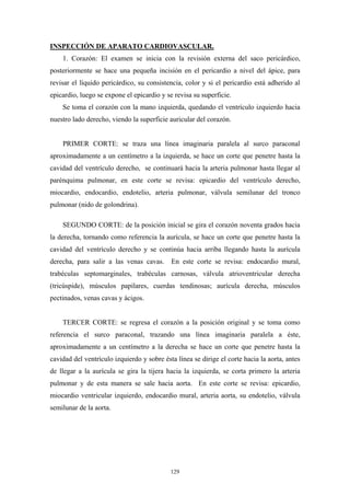 INSPECCIÓN DE APARATO CARDIOVASCULAR.
    1. Corazón: El examen se inicia con la revisión externa del saco pericárdico,
posteriormente se hace una pequeña incisión en el pericardio a nivel del ápice, para
revisar el líquido pericárdico, su consistencia, color y si el pericardio está adherido al
epicardio, luego se expone el epicardio y se revisa su superficie.
    Se toma el corazón con la mano izquierda, quedando el ventrículo izquierdo hacia
nuestro lado derecho, viendo la superficie auricular del corazón.


    PRIMER CORTE: se traza una línea imaginaria paralela al surco paraconal
aproximadamente a un centímetro a la izquierda, se hace un corte que penetre hasta la
cavidad del ventrículo derecho, se continuará hacia la arteria pulmonar hasta llegar al
parénquima pulmonar, en este corte se revisa: epicardio del ventrículo derecho,
miocardio, endocardio, endotelio, arteria pulmonar, válvula semilunar del tronco
pulmonar (nido de golondrina).

    SEGUNDO CORTE: de la posición inicial se gira el corazón noventa grados hacia
la derecha, tornando como referencia la aurícula, se hace un corte que penetre hasta la
cavidad del ventrículo derecho y se continúa hacia arriba llegando hasta la aurícula
derecha, para salir a las venas cavas.      En este corte se revisa: endocardio mural,
trabéculas septomarginales, trabéculas carnosas, válvula atrioventricular derecha
(tricúspide), músculos papilares, cuerdas tendinosas; aurícula derecha, músculos
pectinados, venas cavas y ácigos.


    TERCER CORTE: se regresa el corazón a la posición original y se toma como
referencia el surco paraconal, trazando una línea imaginaria paralela a éste,
aproximadamente a un centímetro a la derecha se hace un corte que penetre hasta la
cavidad del ventrículo izquierdo y sobre ésta línea se dirige el corte hacia la aorta, antes
de llegar a la aurícula se gira la tijera hacia la izquierda, se corta primero la arteria
pulmonar y de esta manera se sale hacia aorta. En este corte se revisa: epicardio,
miocardio ventricular izquierdo, endocardio mural, arteria aorta, su endotelio, válvula
semilunar de la aorta.




                                            129
 