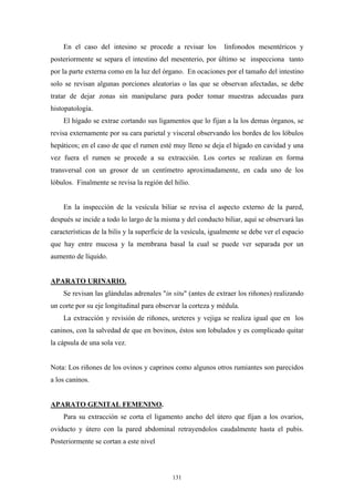 En el caso del intesino se procede a revisar los           linfonodos mesentéricos y
posteriormente se separa el intestino del mesenterio, por último se inspecciona tanto
por la parte externa como en la luz del órgano. En ocaciones por el tamaño del intestino
solo se revisan algunas porciones aleatorias o las que se observan afectadas, se debe
tratar de dejar zonas sin manipularse para poder tomar muestras adecuadas para
histopatología.
    El hígado se extrae cortando sus ligamentos que lo fijan a la los demas órganos, se
revisa externamente por su cara parietal y visceral observando los bordes de los lóbulos
hepáticos; en el caso de que el rumen esté muy lleno se deja el hígado en cavidad y una
vez fuera el rumen se procede a su extracción. Los cortes se realizan en forma
transversal con un grosor de un centímetro aproximadamente, en cada uno de los
lóbulos. Finalmente se revisa la región del hilio.


    En la inspección de la vesícula biliar se revisa el aspecto externo de la pared,
después se incide a todo lo largo de la misma y del conducto biliar, aquí se observará las
características de la bilis y la superficie de la vesícula, igualmente se debe ver el espacio
que hay entre mucosa y la membrana basal la cual se puede ver separada por un
aumento de líquido.


APARATO URINARIO.
    Se revisan las glándulas adrenales "in situ" (antes de extraer los riñones) realizando
un corte por su eje longitudinal para observar la corteza y médula.
    La extracción y revisión de riñones, ureteres y vejiga se realiza igual que en los
caninos, con la salvedad de que en bovinos, éstos son lobulados y es complicado quitar
la cápsula de una sola vez.


Nota: Los riñones de los ovinos y caprinos como algunos otros rumiantes son parecidos
a los caninos.


APARATO GENITAL FEMENINO.
    Para su extracción se corta el ligamento ancho del útero que fijan a los ovarios,
oviducto y útero con la pared abdominal retrayendolos caudalmente hasta el pubis.
Posteriormente se cortan a este nivel




                                            131
 