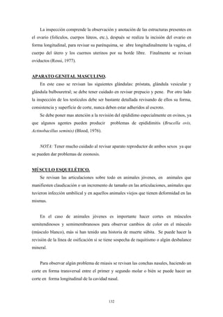 La inspección comprende la observación y anotación de las estructuras presentes en
el ovario (folículos, cuerpos lúteos, etc.), después se realiza la incisión del ovario en
forma longitudinal, para revisar su parénquima, se abre longitudinalmente la vagina, el
cuerpo del útero y los cuernos uterinos por su borde libre. Finalmente se revisan
oviductos (Rossi, 1977).


APARATO GENITAL MASCULINO.
    En este caso se revisan las siguientes glándulas: próstata, glándula vesicular y
glándula bulbouretral; se debe tener cuidado en revisar prepucio y pene. Por otro lado
la inspección de los testículos debe ser bastante detallada revisando de ellos su forma,
consistencia y superficie de corte, nunca deben estar adheridos al escroto.
    Se debe poner mas atención a la revisión del epididimo especialmente en ovinos, ya
que algunos agentes pueden producir         problemas de epididimitis (Brucella ovis,
Actinobacillus seminis) (Blood, 1976).


    NOTA: Tener mucho cuidado al revisar aparato reproductor de ambos sexos ya que
se pueden dar problemas de zoonosis.


MÚSCULO ESQUELÉTICO.
    Se revisan las articulaciones sobre todo en animales jóvenes, en animales que
manifiesten claudicación o un incremento de tamaño en las articulaciones, animales que
tuvieron infección umbilical y en aquellos animales viejos que tienen deformidad en las
mismas.


    En el caso de animales jóvenes es importante hacer cortes en músculos
semitendinosos y semimembranosos para observar cambios de color en el músculo
(músculo blanco), más si han tenido una historia de muerte súbita. Se puede hacer la
revisión de la línea de osificación si se tiene sospecha de raquitismo o algún desbalance
mineral.


    Para observar algún problema de rniasis se revisan las conchas nasales, haciendo un
corte en forma transversal entre el primer y segundo molar o bién se puede hacer un
corte en forma longitudinal de la cavidad nasal.




                                           132
 