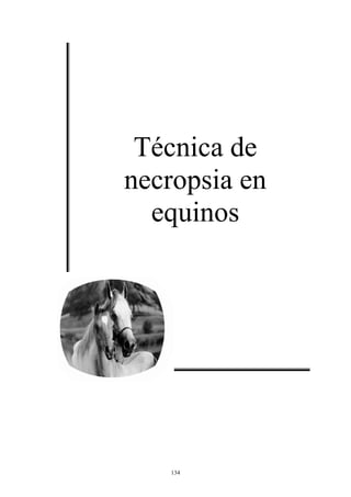Técnica de
necropsia en
  equinos




   134
 