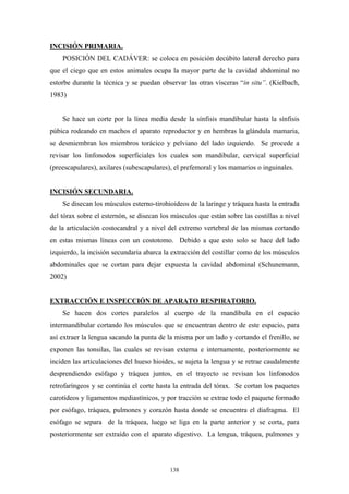 INCISIÓN PRIMARIA.
    POSICIÓN DEL CADÁVER: se coloca en posición decúbito lateral derecho para
que el ciego que en estos animales ocupa la mayor parte de la cavidad abdominal no
estorbe durante la técnica y se puedan observar las otras vísceras “in situ”. (Kielbach,
1983)


    Se hace un corte por la línea media desde la sínfisis mandibular hasta la sínfisis
púbica rodeando en machos el aparato reproductor y en hembras la glándula mamaria,
se desmiembran los miembros torácico y pelviano del lado izquierdo. Se procede a
revisar los linfonodos superficiales los cuales son mandibular, cervical superficial
(preescapulares), axilares (subescapulares), el prefemoral y los mamarios o inguinales.


INCISIÓN SECUNDARIA.
    Se disecan los músculos esterno-tirohioideos de la laringe y tráquea hasta la entrada
del tórax sobre el esternón, se disecan los músculos que están sobre las costillas a nivel
de la articulación costocandral y a nivel del extremo vertebral de las mismas cortando
en estas mismas líneas con un costotomo. Debido a que esto solo se hace del lado
izquierdo, la incisión secundaria abarca la extracción del costillar como de los músculos
abdominales que se cortan para dejar expuesta la cavidad abdominal (Schunemann,
2002)


EXTRACCIÓN E INSPECCIÓN DE APARATO RESPIRATORIO.
    Se hacen dos cortes paralelos al cuerpo de la mandíbula en el espacio
intermandibular cortando los músculos que se encuentran dentro de este espacio, para
así extraer la lengua sacando la punta de la misma por un lado y cortando el frenillo, se
exponen las tonsilas, las cuales se revisan externa e internamente, posteriormente se
inciden las articulaciones del hueso hioides, se sujeta la lengua y se retrae caudalmente
desprendiendo esófago y tráquea juntos, en el trayecto se revisan los linfonodos
retrofaríngeos y se continúa el corte hasta la entrada del tórax. Se cortan los paquetes
carotídeos y ligamentos mediastínicos, y por tracción se extrae todo el paquete formado
por esófago, tráquea, pulmones y corazón hasta donde se encuentra el diafragma. El
esófago se separa de la tráquea, luego se liga en la parte anterior y se corta, para
posteriormente ser extraído con el aparato digestivo. La lengua, tráquea, pulmones y




                                           138
 