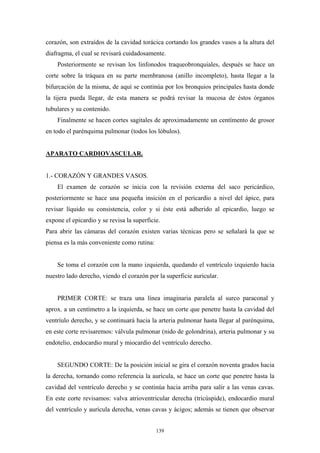 corazón, son extraídos de la cavidad torácica cortando los grandes vasos a la altura del
diafragma, el cual se revisará cuidadosamente.
    Posteriormente se revisan los linfonodos traqueobronquiales, después se hace un
corte sobre la tráquea en su parte membranosa (anillo incompleto), hasta llegar a la
bifurcación de la misma, de aquí se continúa por los bronquios principales hasta donde
la tijera pueda llegar, de esta manera se podrá revisar la mucosa de éstos órganos
tubulares y su contenido.
    Finalmente se hacen cortes sagitales de aproximadamente un centímento de grosor
en todo el parénquima pulmonar (todos los lóbulos).


APARATO CARDIOVASCULAR.


1.- CORAZÓN Y GRANDES VASOS.
    El examen de corazón se inicia con la revisión externa del saco pericárdico,
posteriormente se hace una pequeña insición en el pericardio a nivel del ápice, para
revisar líquido su consistencia, color y si éste está adherido al epicardio, luego se
expone el epicardio y se revisa la superficie.
Para abrir las cámaras del corazón existen varias técnicas pero se señalará la que se
piensa es la más conveniente como rutina:


    Se toma el corazón con la mano izquierda, quedando el ventrículo izquierdo hacia
nuestro lado derecho, viendo el corazón por la superficie auricular.


    PRIMER CORTE: se traza una línea imaginaria paralela al surco paraconal y
aprox. a un centímetro a la izquierda, se hace un corte que penetre hasta la cavidad del
ventríulo derecho, y se continuará hacia la arteria pulmonar hasta llegar al parénquima,
en este corte revisaremos: válvula pulmonar (nido de golondrina), arteria pulmonar y su
endotelio, endocardio mural y miocardio del ventrículo derecho.


    SEGUNDO CORTE: De la posición inicial se gira el corazón noventa grados hacia
la derecha, tornando como referencia la aurícula, se hace un corte que penetre hasta la
cavidad del ventrículo derecho y se continúa hacia arriba para salir a las venas cavas.
En este corte revisamos: valva atrioventricular derecha (tricúspide), endocardio mural
del ventrículo y aurícula derecha, venas cavas y ácigos; además se tienen que observar


                                            139
 