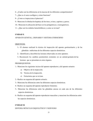 6.- ¿Cuales son las diferencias en la mucosa de los diferentes compartimentos?
7.- ¿Que es el surco esofágico y cómo funciona?
8.- ¿Como se inspecciona el páncreas?
9.- Mencione la lobulación hepática de bovinos, ovinos, caprinos y perros.
10.- Mencione la ubicación del bazo en los poligástricos y monogástricos.
11.- ¿Que son los nódulos hemolinfáticos y como se revisan?


UNIDAD X
APARATO GENITAL, URINARIO Y SISTEMA ENDOCRINO


OBJETIVOS:
   1.- El alumno realizará la técnica de inspección del aparato genitourinario y de las
         glándulas endócrinas de las diferentes especies domésticas.
   2.- Identificará y describirá las lesiones observadas en estos aparatos.
   3.- Reconocerá los cambios postmortem existentes en un animal gestante de las
      lesiones que se presentan en estos órganos.
PRERREQUISITOS:
1.- Mencione los siguientes incisos del aparato reproductor y del aparato urinario:
       a)   Objetivo de la inspección.
       b) Técnica de la inspección.
       e)   Estructuras que se revisan.
2.- Realice un esquema del aparato urinario.
3.- Mencione las diferencias entre las diferentes especies domésticas.
4.- Realice un esquema del aparato reproductor femenino.
5.- Mencione las diferencias entre las glándulas anexas en cada una de las diferentes
    especies domésticas.
6.- Realice un esquema del aparato reproductor masculino y mencione las diferencias entre
   las especies domésticas.


UNIDAD XI
SISTEMA MÚSCULO ESQUELÉTICO Y NERVIOSO

                                               25
 