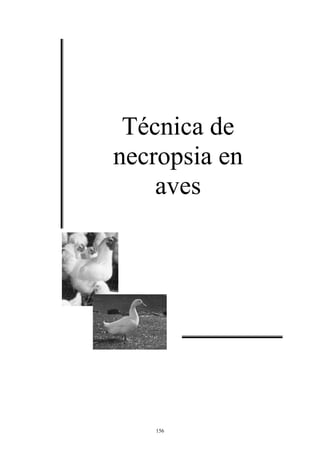 Técnica de
necropsia en
    aves




   156
 