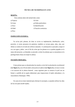 TÉCNICA DE NECROPSIAS EN AVES


RESEÑA.
      Esta contiene datos del animal tales como:
a) Especie                             f) Color
b) Línea                               g) Señas particulares
c) Sexo                                h) Identificación
d) Edad                                i) Función zootécnica
e) Peso


INSPECCIÓN EXTERNA.


    Se revisa piel, plumas; de éstas se revisa su implantación, distribución, color,
posición, si existe presencia de parásitos; también se revisan patas, uñas, alas; por
último se realiza la revisión de orificios naturales. A continuación se procede a mojar el
ave con agua y jabón com el fin de evitar que las plumas no se queden pegadas en la
mano del prosector, ya húmedas se procede a retirar las plumas que se encuentran en la
pechuga hasta cloaca sin mojar la cabeza.


INCISIÓN PRIMARIA.


    Como primer paso se desarticulan los muslos a nivel de la articulación coxofemoral
(ver figura 1), con el fin de darle colocación al cadáver (ver figura 2) y revisar si existe
o no necrosis de la cabeza femoral; como siguiente paso se remueve la piel con un
bisturí o cuchillo de la región abdominal, para inspeccionar el tejido subcutáneo y la
musculatura (Alamargot, 1986).


    En casos de no tener material para efectuar la necropsia, se pueden utilizar las uñas
de las aves para incidir tejidos.




                                            157
 